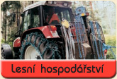 lesni hospodarstvi